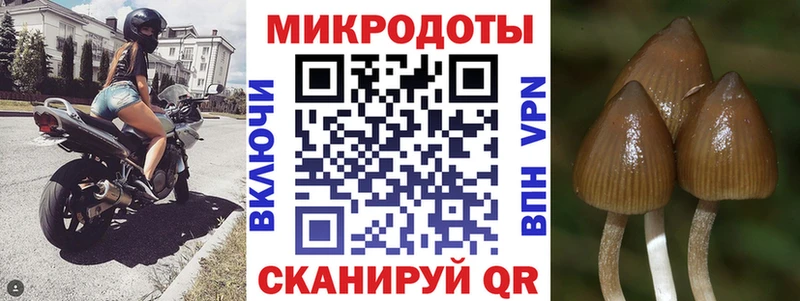 закладки  Махачкала  Галлюциногенные грибы мухоморы 
